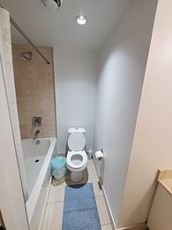 Den Room - Bathroom