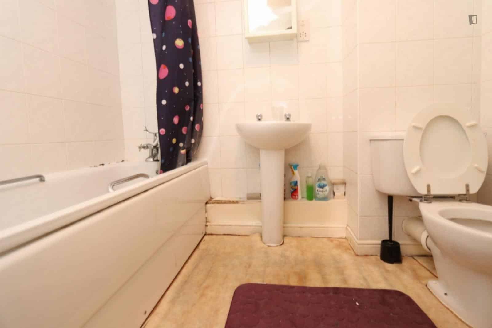 4 bedroom apartment, Meridian Place - London, England, United Kingdom - Bedroom 2 - Bathroom