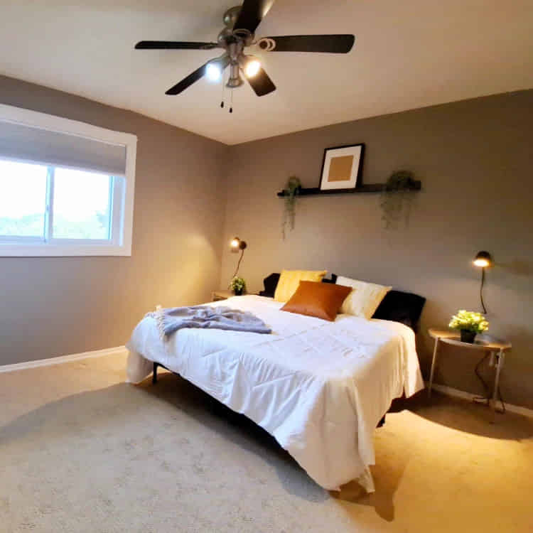 Birch( 1 Bed 1 Bath ) - Bedroom?w=400&h=260&fit=crop&q=40&auto=format&trim=auto