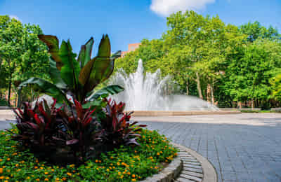 Stuyvesant Town, New York City - New York City, New York, United States - Common Area