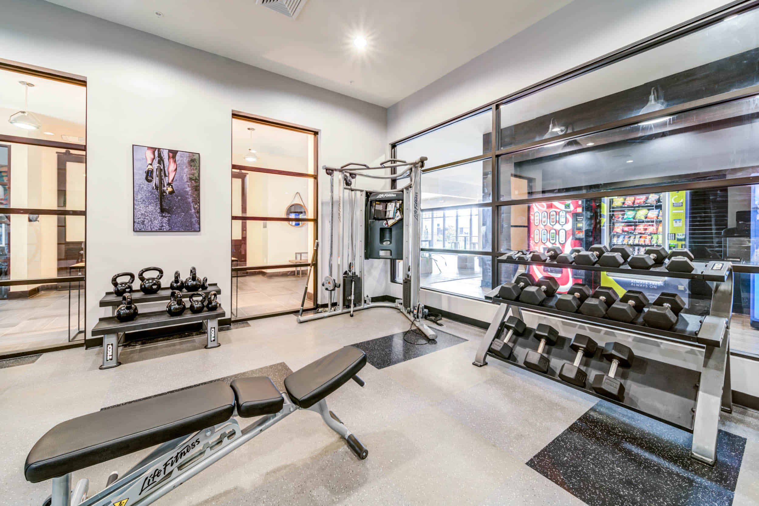 University Edge Dickinson Lofts, Greenville - Greenville, United States - Amenities
