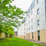 2-student-accommodation-edinburgh-beaverbank-place-garden (1)