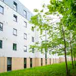 3-student-accommodation-edinburgh-beaverbank-place-garden (2)