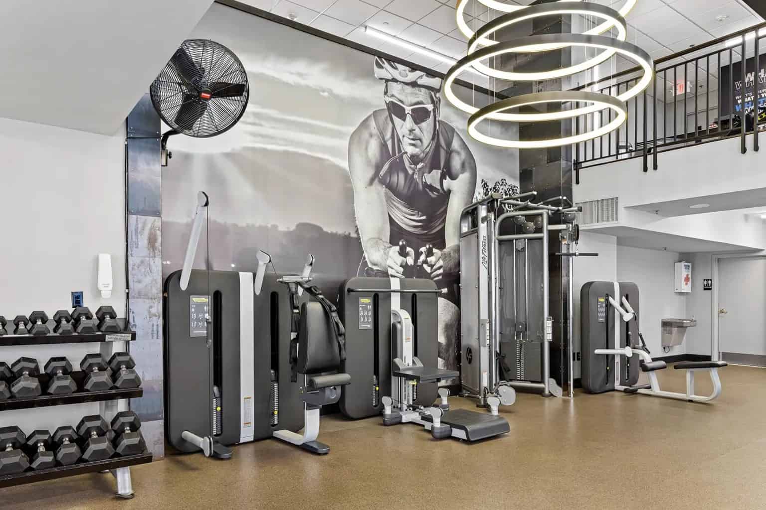 The North Constitution, New York - New York City, New York, United States - Amenities