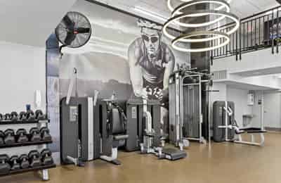 The North Constitution, New York - New York City, New York, United States - Amenities