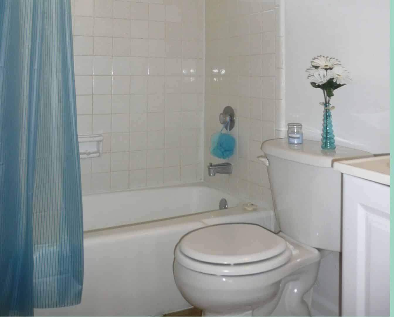 Covina Plaza, San Antonio - San Antonio, Texas, United States - Bathroom
