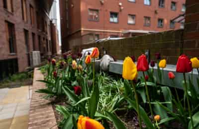 Paradise Student Village, Coventry - Coventry, England, United Kingdom - Exterior
