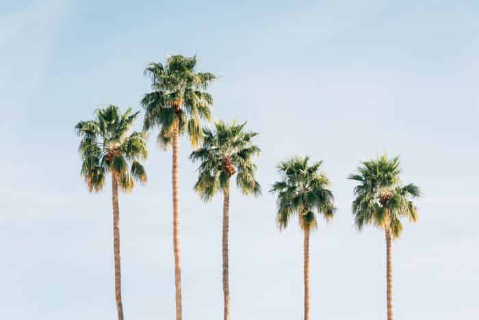 Gateway at Tempe, Tempe - Tempe, Arizona, United States - Amenities