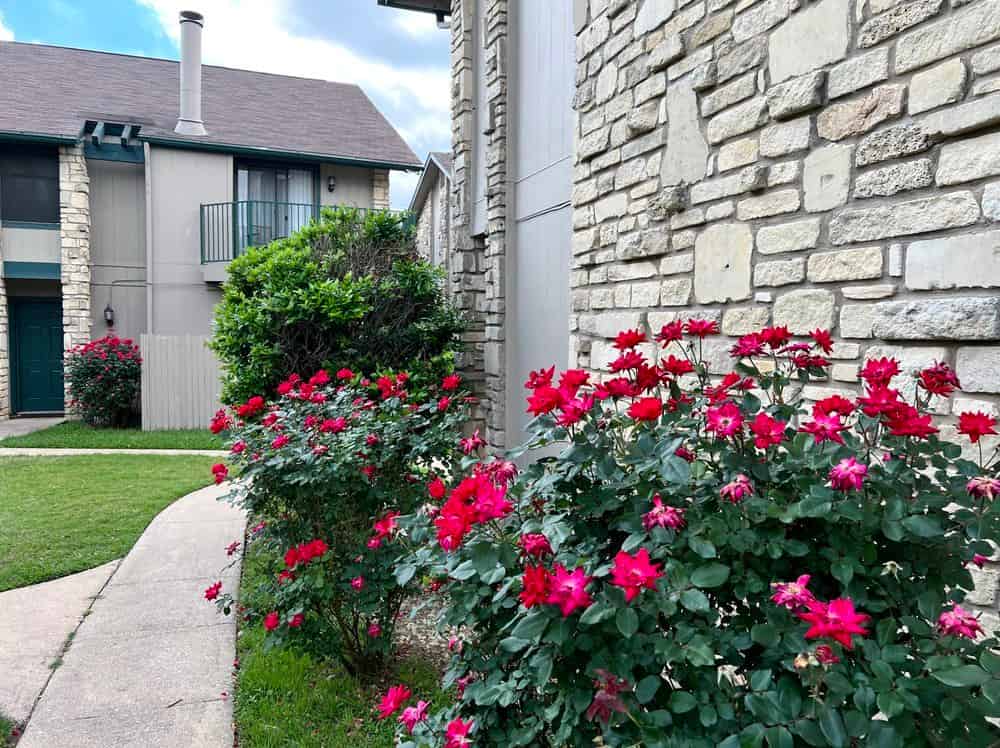 Woodwillow Townhomes, Austin - Austin, Texas, United States - Exterior