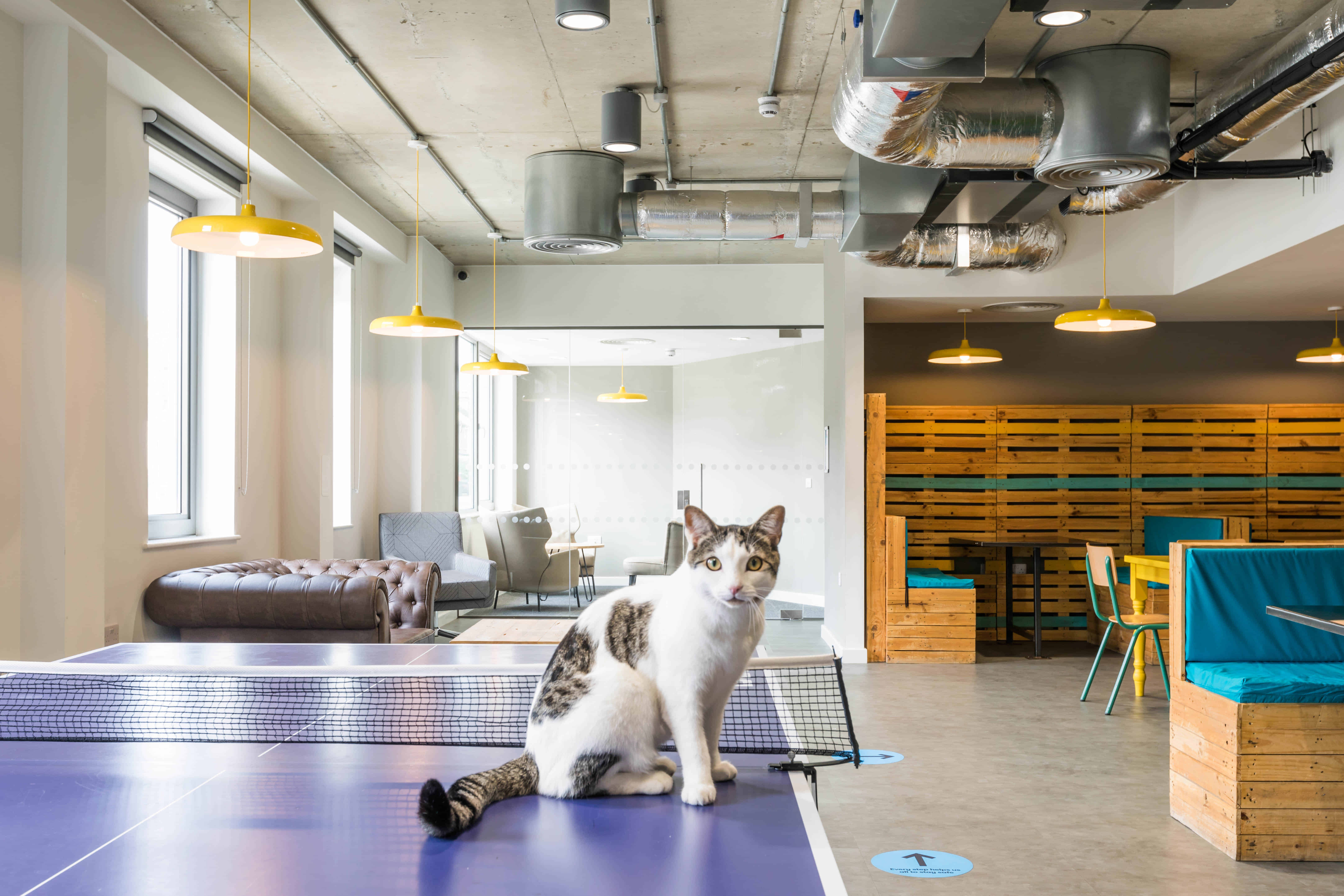 The Cam Foundry, Cambridge - Cambridge, England, United Kingdom - Common Area