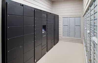 Anthem House, Gainesville - Gainesville, Florida, United States - Amenities