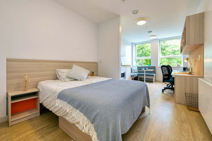 Luxury Plus studio  - Bedroom