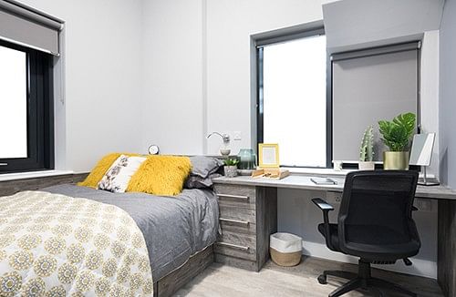 Studio Plus - Bedroom