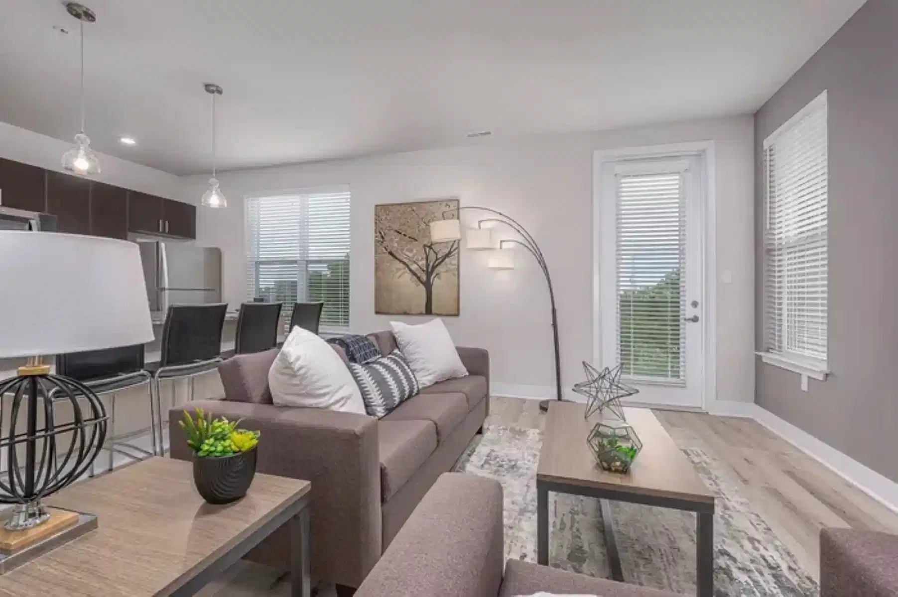 Vue on Walnut, Springfield - Springfield, Missouri, United States - Common Area