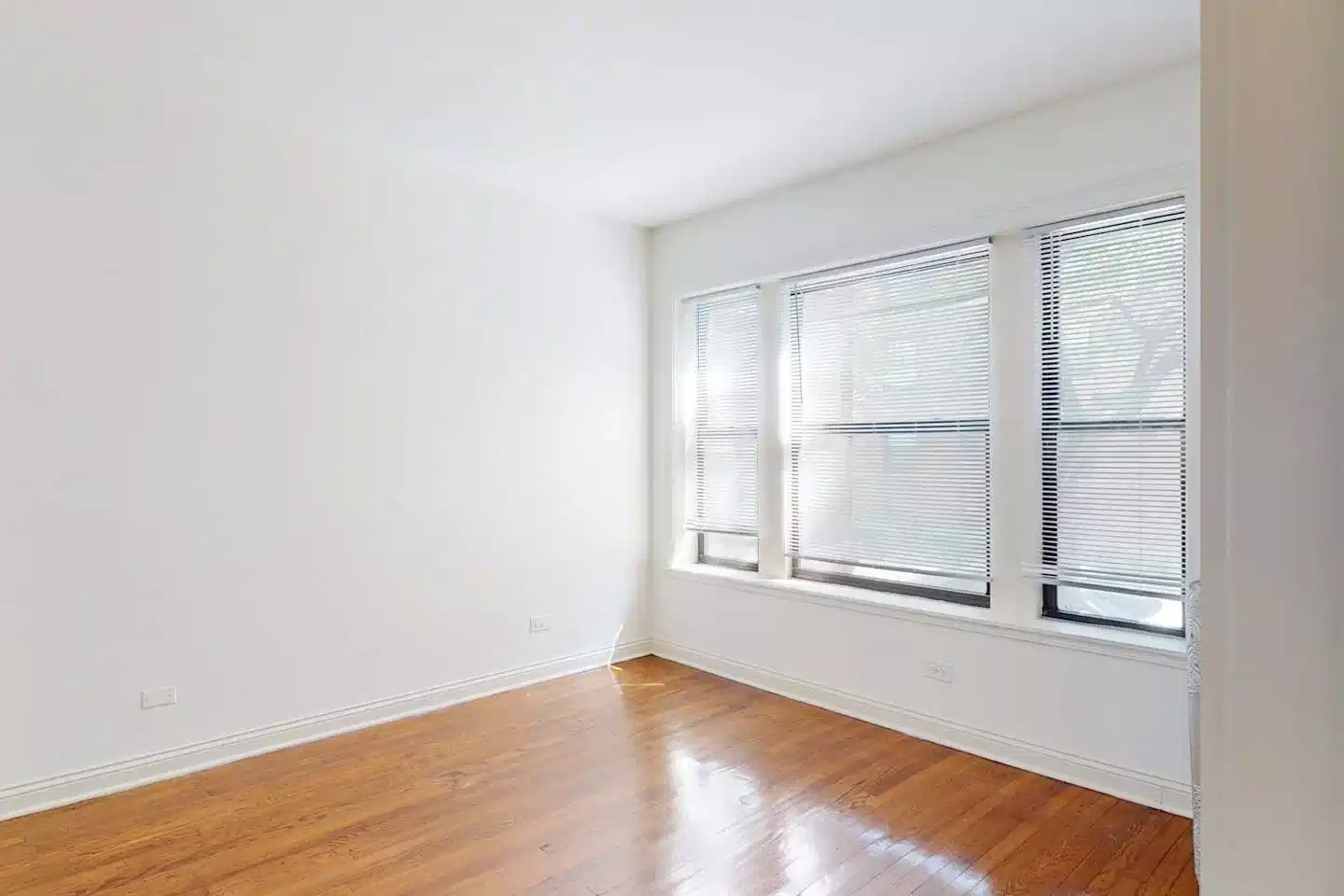 5350-5358 S. Maryland Avenue, Chicago - Chicago, Illinois, United States - Room