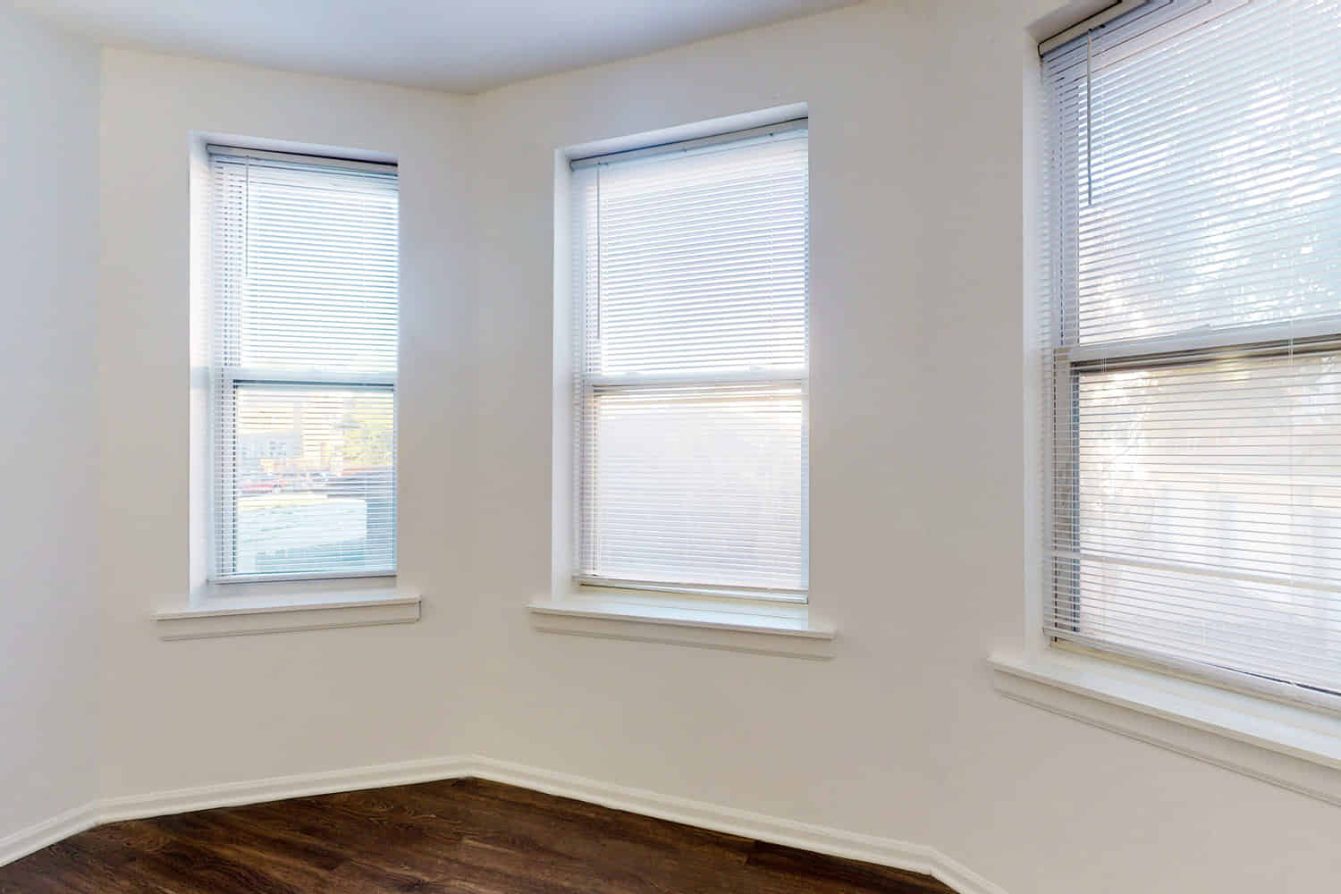 925 East 46th Street, Chicago - Chicago, Illinois, United States - Amenities