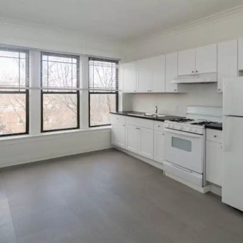 5452 S. Ellis Avenue, Chicago - Chicago, Illinois, United States - Kitchen