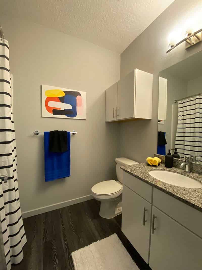Lark Gainesville, Gainesville - Gainesville, Florida, United States - Bathroom
