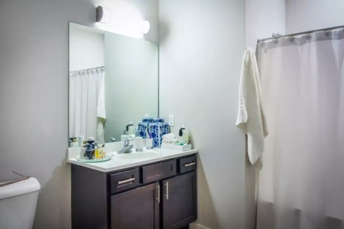 305 E. Daniel, Champaign - Champaign, Illinois, United States - Bathroom