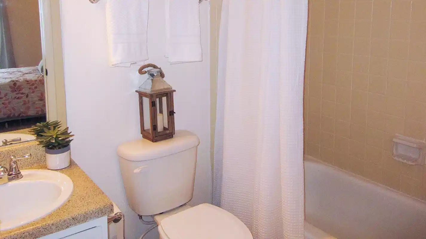 Overlook Apartments, Greenville - Clemson, South Carolina, United States - Bathroom