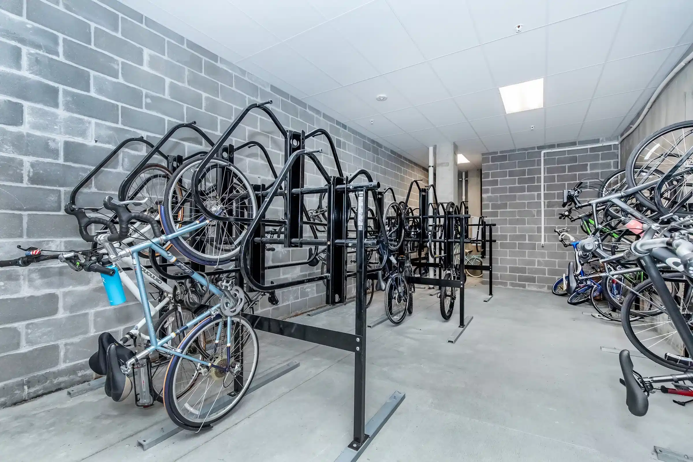 Ceylon Apartments, Clayton - Clayton, Missouri, United States - Amenities