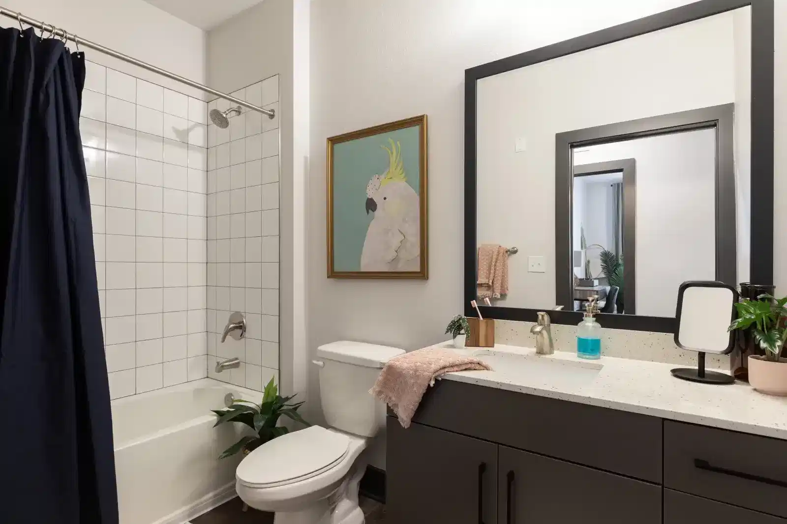 Theory Gainesville, Gainesville - Gainesville, Florida, United States - Bathroom