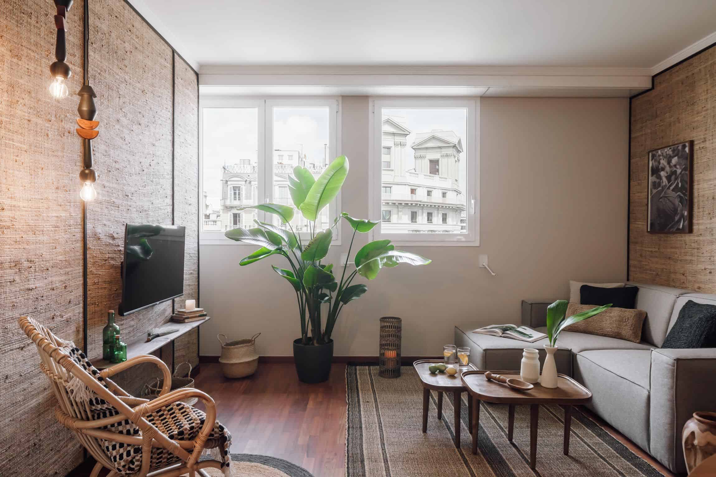 Zamba, Barcelona - Barcelona, Spain - Common Area