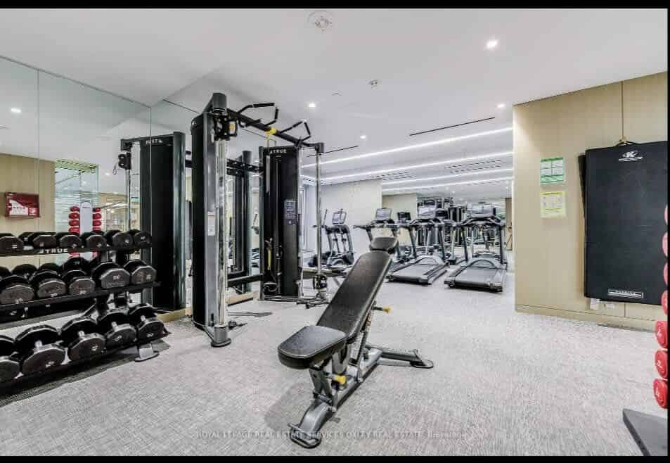 Liwinco Yorkville, Toronto - Toronto, Ontario, Canada - Amenities