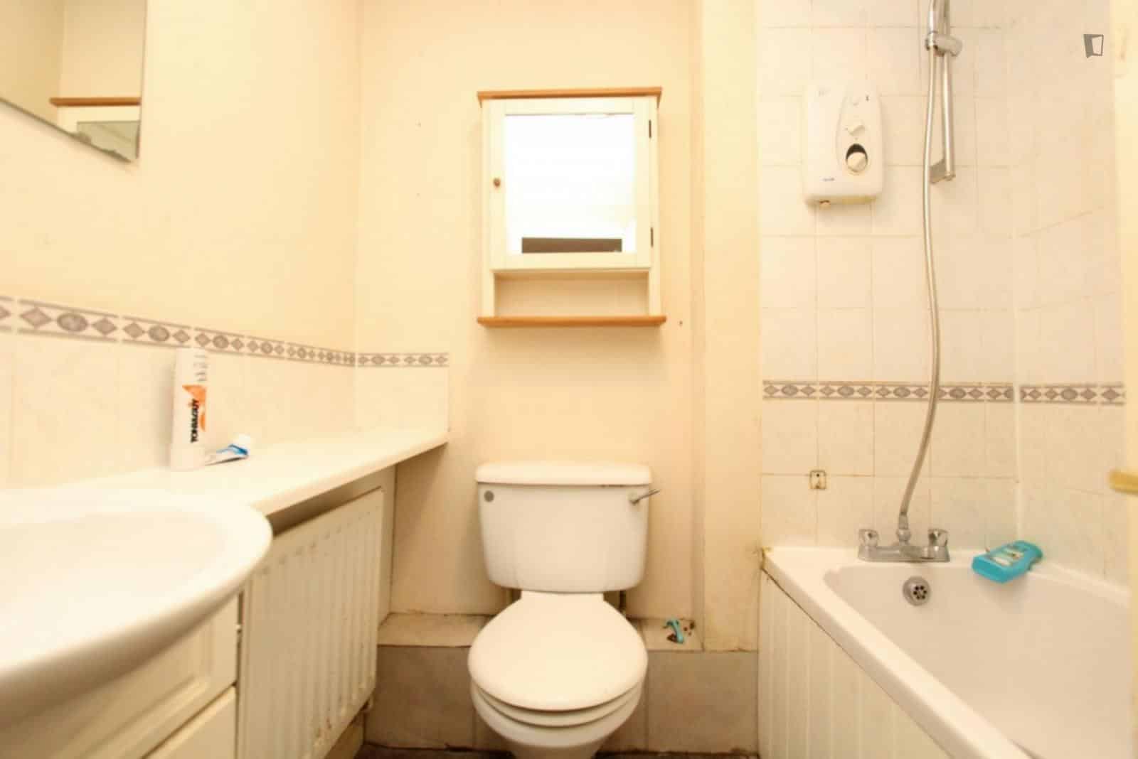 Room in a 3 Bedroom Apartment, Dingle Gardens, London E14 0DN - London, England, United Kingdom - 3 Bed - 1 Bath - Bathroom