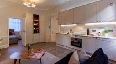 1 Bedroom Apartment, Gloucester Pl, London W1U 6JS (Flat 2) - London, England, United Kingdom - 1 Bedroom Apartment - Kitchen