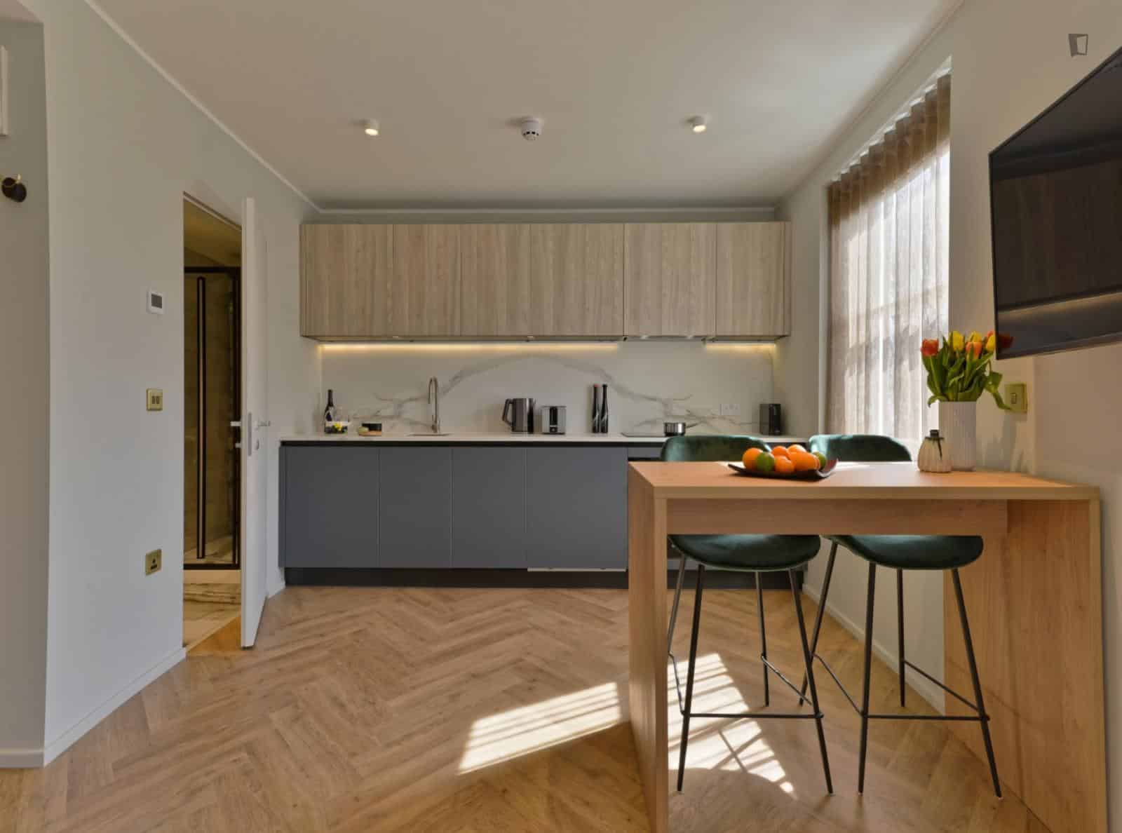 Studio Room, Foulis Ter, London SW7 3LZ (Studio 4) - London, England, United Kingdom - Studio - Kitchen