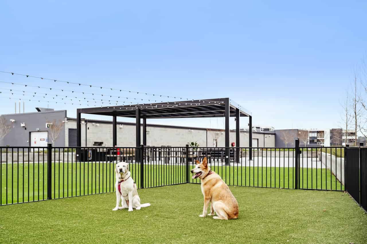 WeAreLiving Dickson Apartments, Canberra - Canberra, Australian Capital Territory, Australia - Amenities