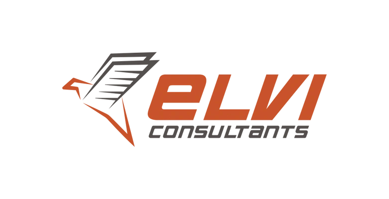 Elvi Consultants